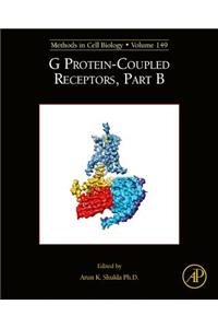 G Protein-Coupled Receptors, Part B