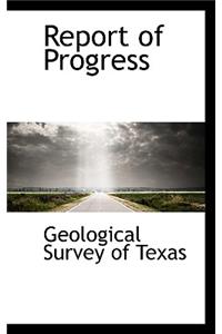 Report of Progress