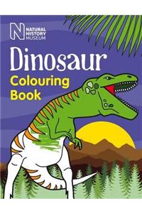 Dinosaur Colouring Book