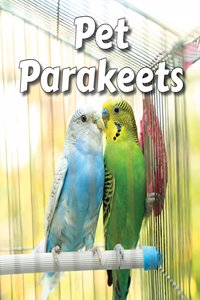 Pet Parakeets