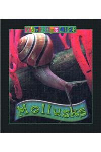 Mollusks