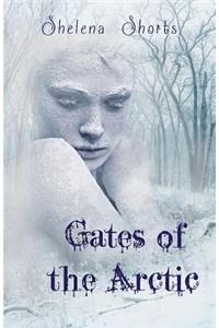 Gates of the Arctic