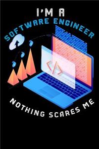 I'm A Software Engineer Nothing Scares Me