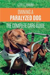 Owning a Paralyzed Dog - The Complete Care Guide