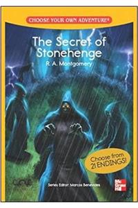 CHOOSE YOUR OWN ADVENTURE: THE SECRET OF STONEHENGE