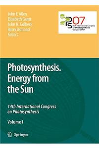 Photosynthesis. Energy from the Sun