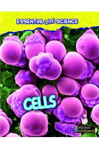 Cells