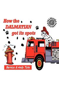 How the Dalmatian Got Its Spots