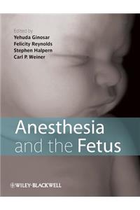 Anesthesia and the Fetus