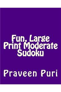 Fun, Large Print Moderate Sudoku