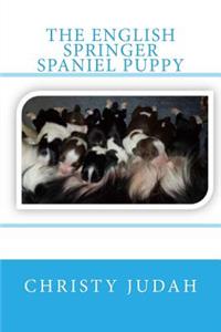 English Springer Spaniel Puppy
