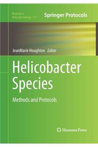 Helicobacter Species