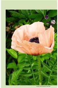 Poppy 2014 Weekly Calendar