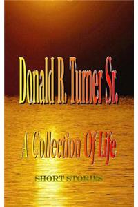 A Collection Of Life: Short Stories