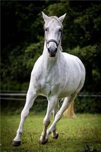 Beautiful Galloping White Horse Journal