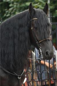 Strikingly Beautiful Brown Horse with a Flowing Black Mane Portrait Journal