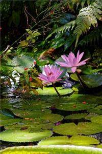 Beautiful Water Lily and Pads in the Stream Journal