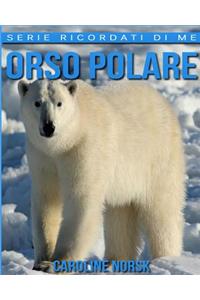 Orso Polare