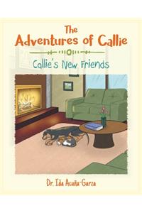 Adventures of Callie