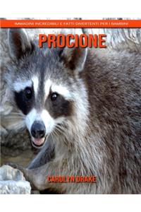 Procione