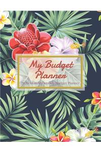 My Budget Planner 2020 Monthly Weekly Budget Planner