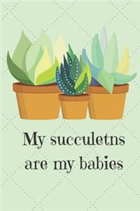 My Succulents Are My Babies