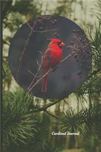 Cardinal Journal