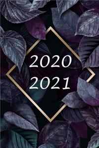 2020 2021
