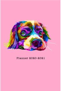 Planner 2020-2021