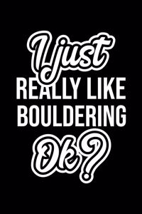 I Just Really Like Bouldering Ok?