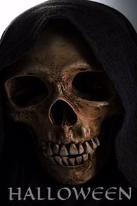 Skull, Halloween Notebook, Memory Book to Write or Draw , 6x9, 100 Beautiful Pages, Notes, Journal, Memory Book