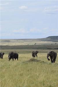 Savannah Notebook