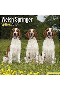 Welsh Springer Spaniel Calendar 2018