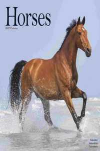 Horses 2023 Wall Calendar