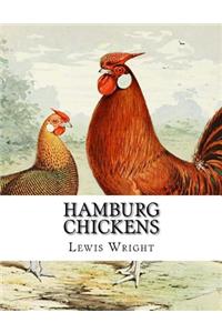 Hamburg Chickens