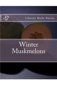 Winter Muskmelons