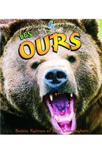 Les Ours