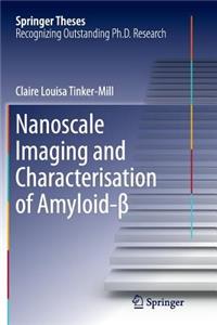 Nanoscale Imaging and Characterisation of Amyloid-β