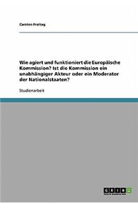 Wie agiert und funktioniert die Europäische Kommission? Ist die Kommission ein unabhängiger Akteur oder ein Moderator der Nationalstaaten?