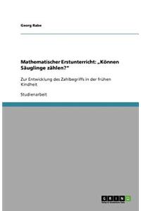 Mathematischer Erstunterricht