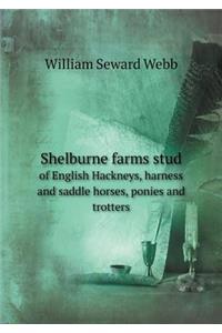 Shelburne farms stud of English Hackneys, harness and saddle horses, ponies and trotters