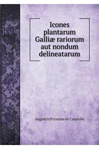 Icones plantarum Galliæ rariorum aut nondum delineatarum