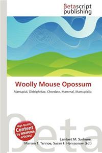 Woolly Mouse Opossum