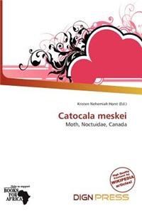 Catocala Meskei