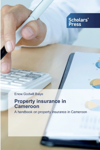 Property insurance in Cameroon