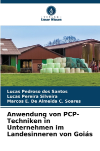 Anwendung von PCP-Techniken in Unternehmen im Landesinneren von Goiás