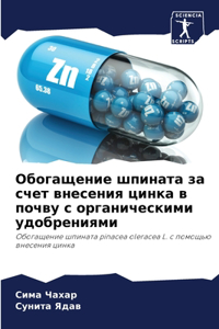 Обогащение шпината за счет внесения цинка