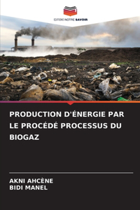 Production d'Énergie Par Le Procédé Processus Du Biogaz