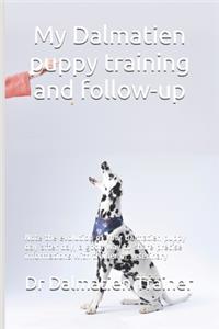 My Dalmatien puppy training and follow-up