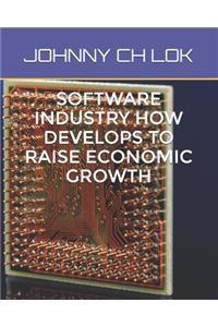 Software Industry How Develops to Raise Economic Growth